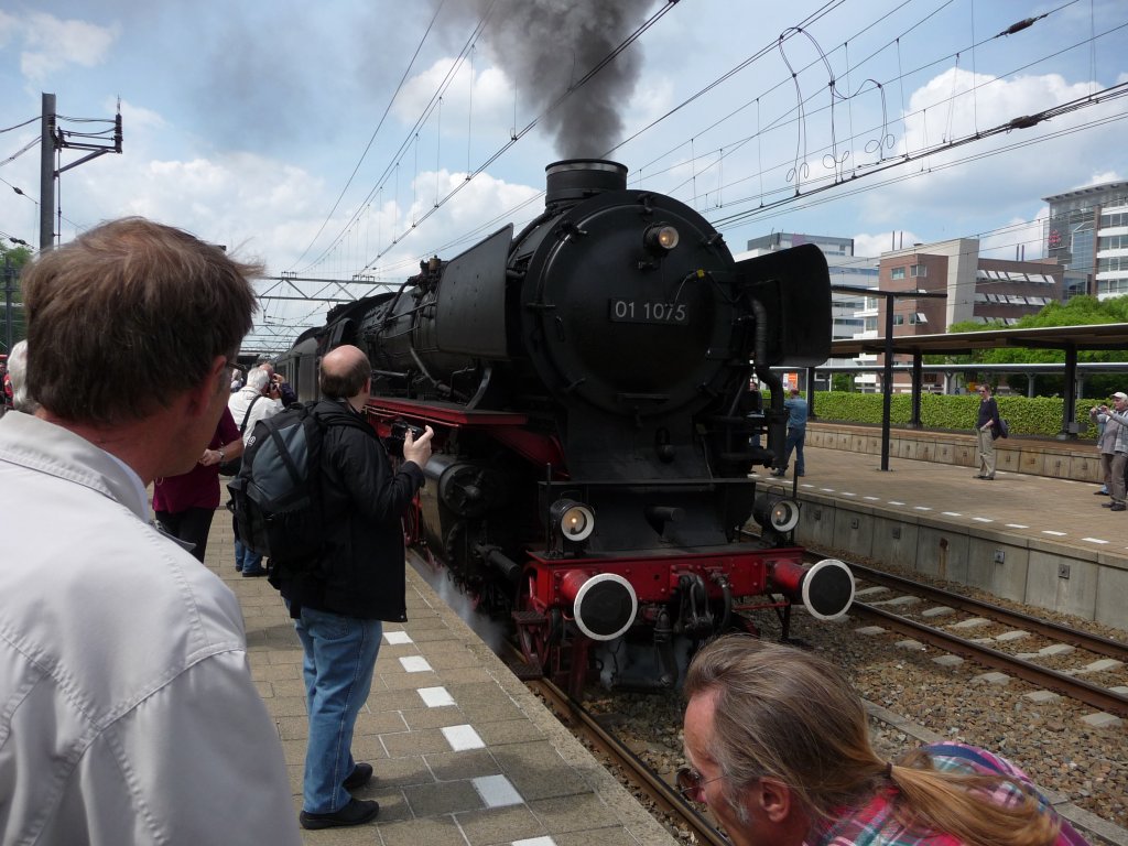 01 1075 der  stoom stiching Nederland  bef�rdert zur Veranstaltung  Dordt in stoom  trafitionell zusammen mit 65 018 desselben Vereins den Dampfzug vom Bahnhof Dordrecht zum Aussetllungsgel�nde. Hier am 29.05.2010 im Bahnhof Dordrecht.