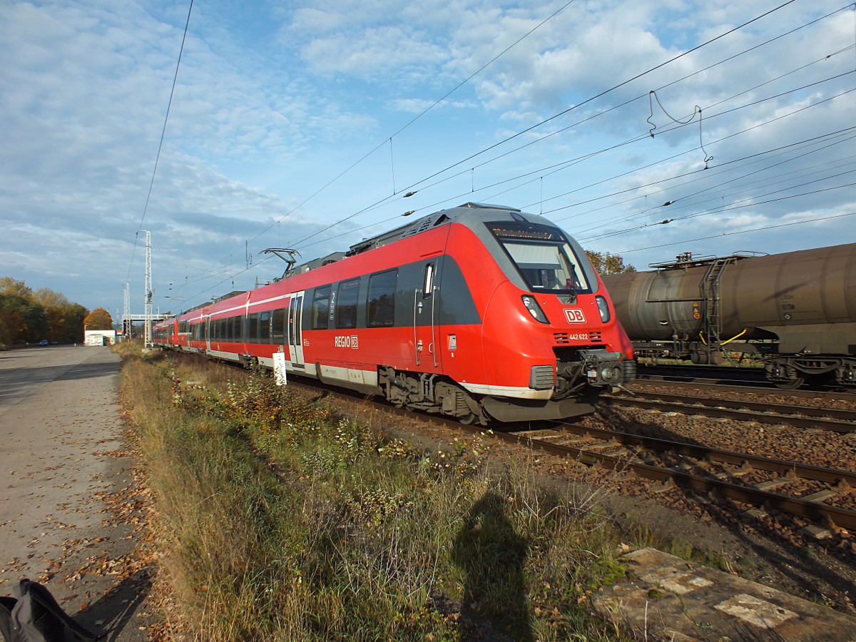 442 122 und 442 123 als RB22 nach Sch�nefeld am 22.10.13 in Saarmund.
