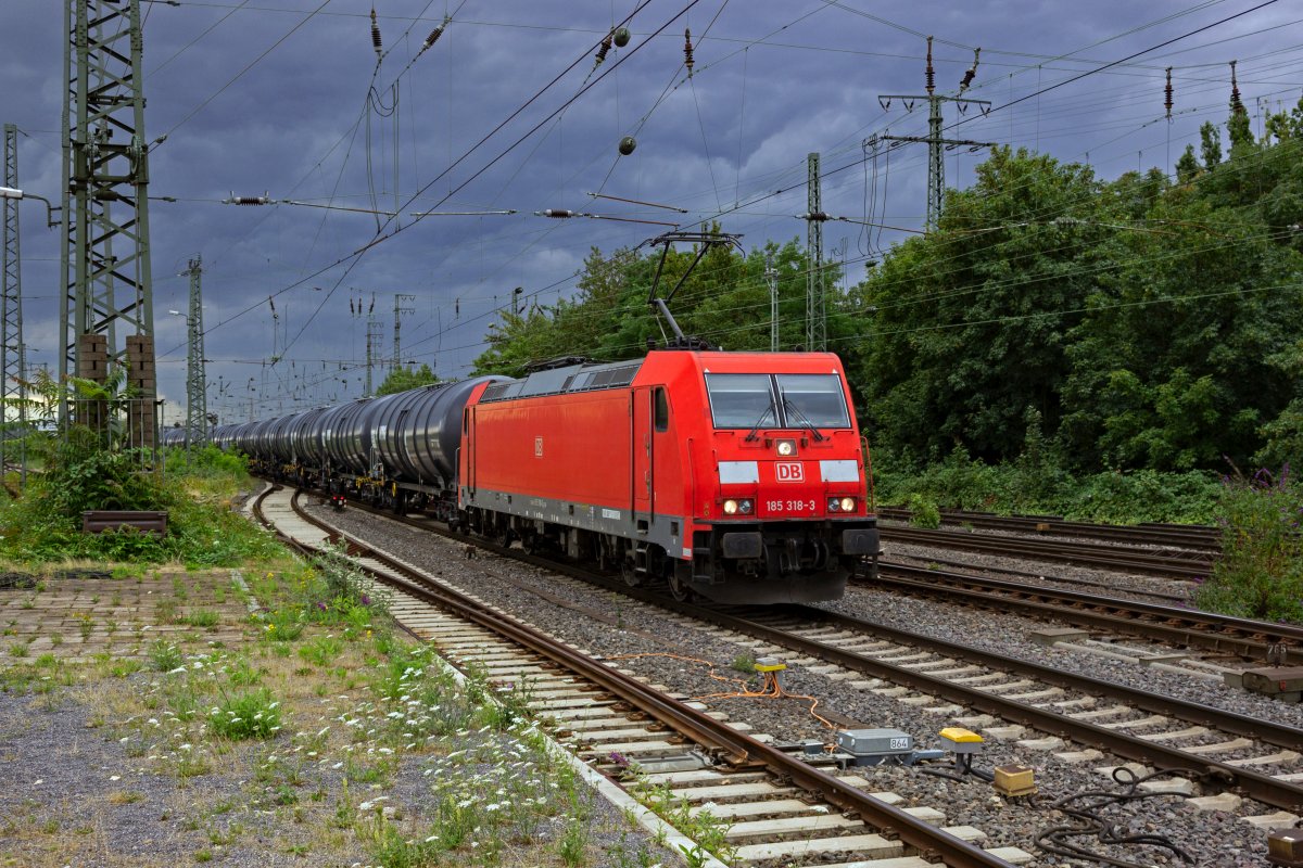Aus dem Hammer G�terbahnhof kommend f�hrt 185 318 hier mit einem Ganzzug aus Kesselwagen in Richtung Osten.