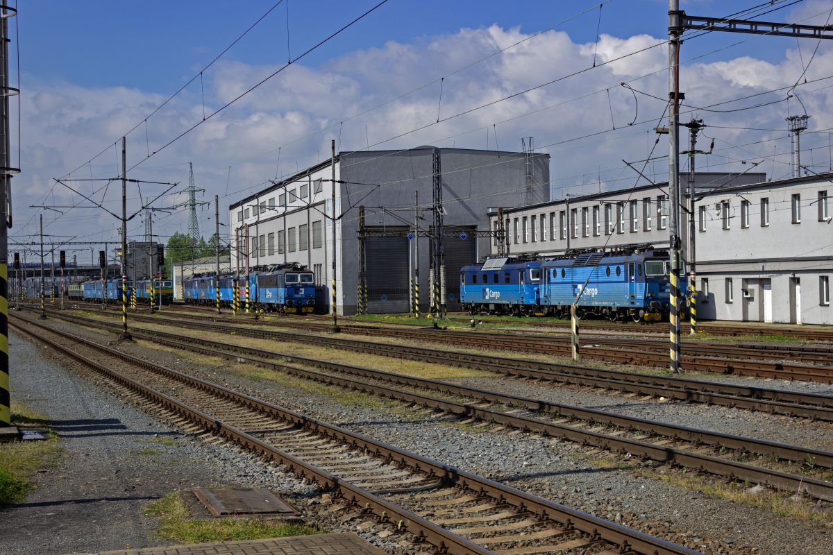 Der Gro�teil der Lokomitven von �D Cargo tragen das Corporate Design in zwei verschiedenen Blaut�nen. In diesem Suchbild haben sich mit einer gr�n/gelben 163 und einer gr�nen 181 einige der wenigen Ausnahmen versteckt.