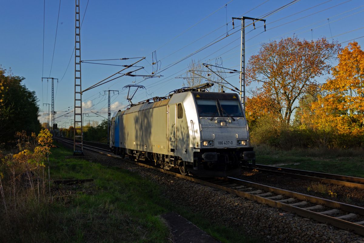 Durch die tiefstehende Sonne haben die Schatten der B�ume auf dem ehemaligen Rangierbahnhof Berlin-Wuhlheide bereits die Gleise des G�terau�enrings erreicht, als die Railpool-Lok 186 437 solo in Richtung S�den rollte.