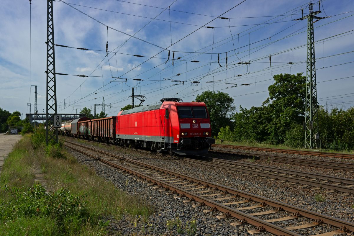 Ein gemischter G�terzug durchf�hrt von 185 065 gezogen durch Saarmund.