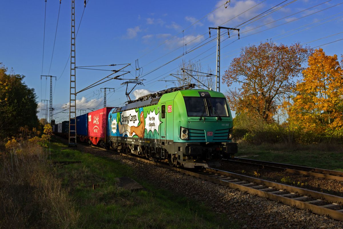 Ohne gro�e Planung konnten am 23.10.24 kurz nacheinander zwei Werbelokomotiven verewigt werden. Im letzten Nachmittagslicht rollt 193 368, die f�r die wirtschaftlichen und �kologischen Vorteile des Schienenverkehrs wirbt, durch die Berliner Wuhlheide.