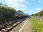 ET445.102 durchf�hrt am 2.10.13 im Schatten der �ppigen Vegetation Berlin-Karlshorst.