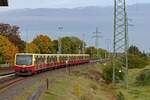 Der S-Bahn-Haltepunkt Wa�mannsdorf ist eine Art Kollateralschaden der versp�teten Inbetriebnahme des Flughafens BER.