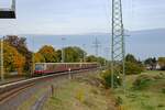 Da der Ort Wa�mannsdorf an sich keine 1000 Einwohner hat, d�rfte die Berechtigung f�r den gleichnamigen Haltepunkt durch die Funktion als Umsteigepunkt zwischen Auto und S-Bahn entstehen. Am 19.10.2021, gut ein Jahr nach der Inbetriebnahme f�hrt ein Vollzug der Baureihe 481 in Wa�mannsdorf ein.