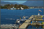 Die zwei DHC-2 Beaver Mk1 C-FJBP der Whistler Air und C-FWAC der Harbour Air stehen am 15.10.2022 am Anleger in Vancouver Harbour und warten auf den nächsten Flug.