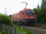 ÖBB-1116 275 am 14.